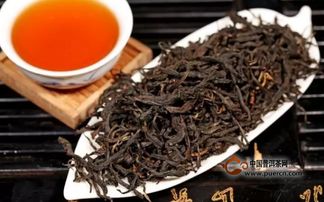 叶大叶厚就是古树茶吗 我们教你来如何鉴别