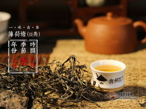 书剑普洱2015年 赏析
