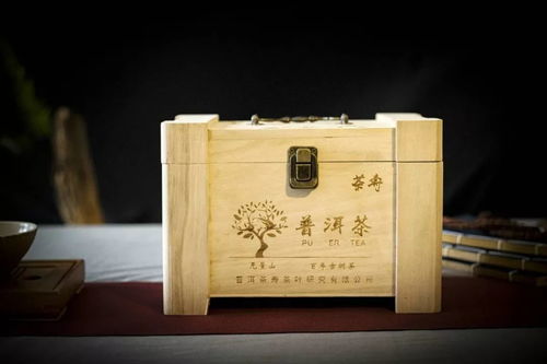 普洱古树茶冲泡方法与品鉴