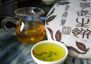 真正的古树茶为何价值连城？看完你就明白了