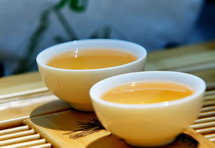 正宗的冰岛古树茶价格解析 成本构成与市场定价