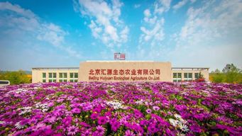 汇源27年匠心坚守 国民果汁与古树茶的传承与创新