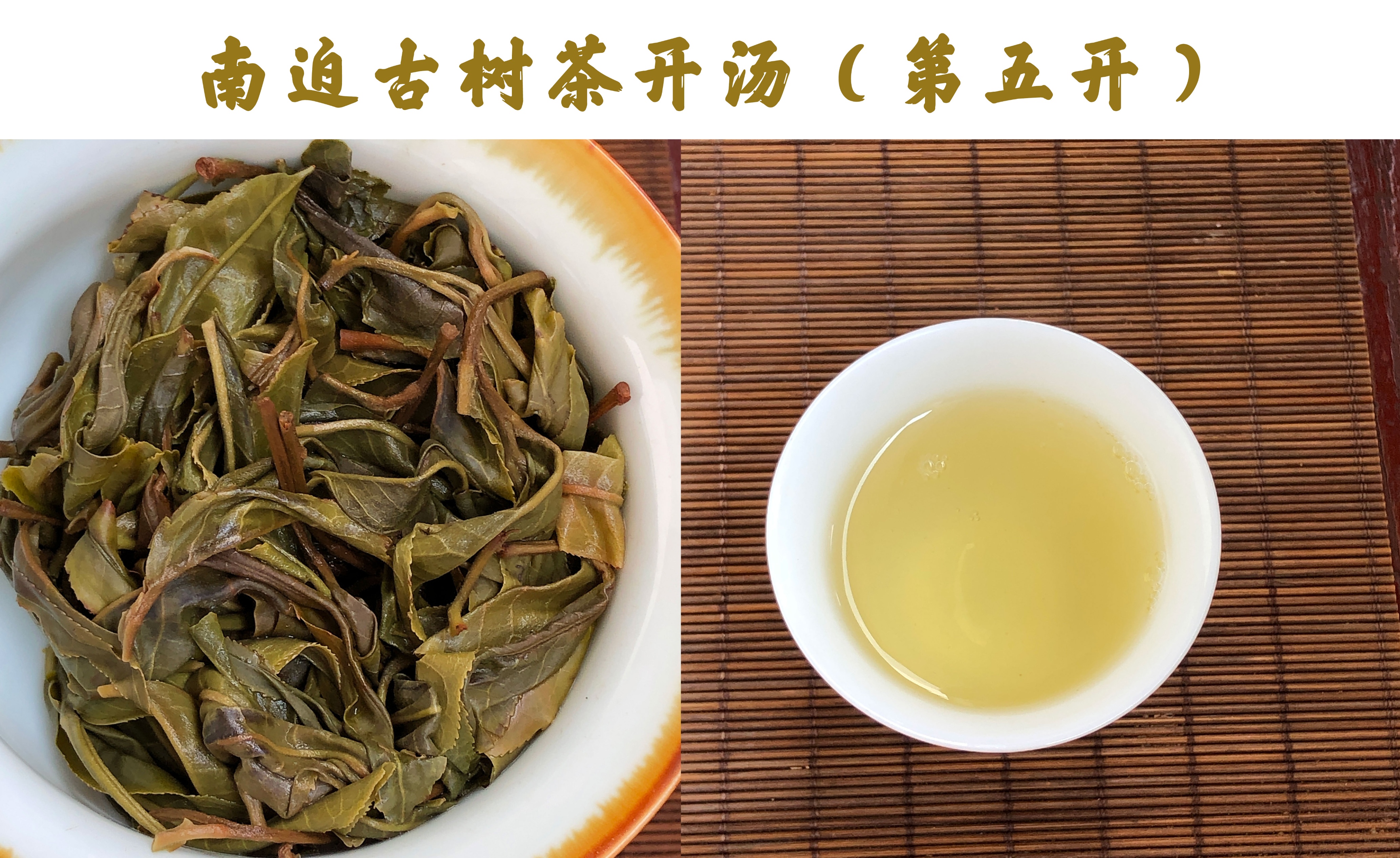 冰岛古树茶 山头古树茶的珍馐