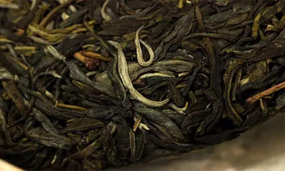 古树茶进阶知识 一针见血的深度剖析