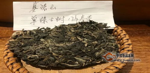 2017年基诺山单株古树茶品鉴报告