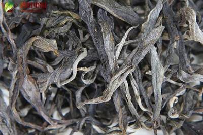 为何冰岛古树茶贵如黄金？解析古树茶的价值密码